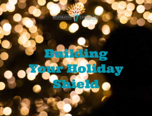 Building your Holiday Shield