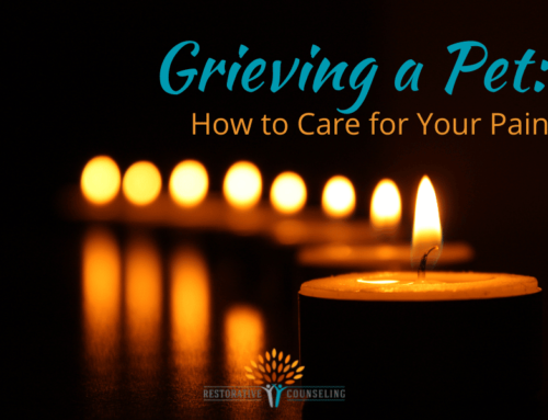 Grieving a Pet: How to Care for Your Pain